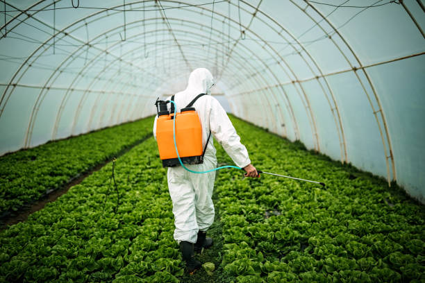 Best Pest Removal Services  in Hummelstown, PA
