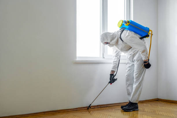 Best Best Pest Control Companies  in Hummelstown, PA