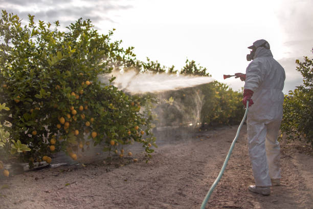 Best Pest Inspection Near Me  in Hummelstown, PA