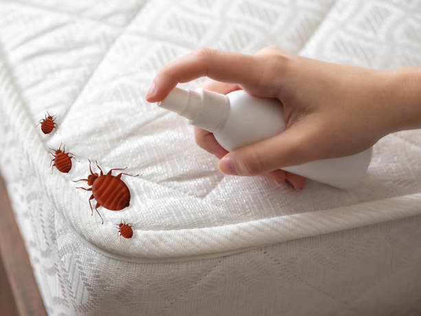Best Spider Control Near Me  in Hummelstown, PA