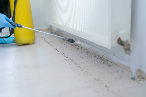 Best Pest Prevention Services  in Hummelstown, PA