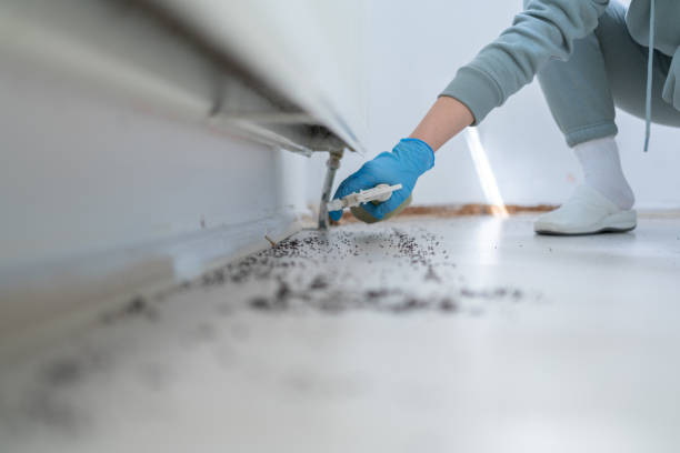 Best Affordable Pest Control Services  in Hummelstown, PA